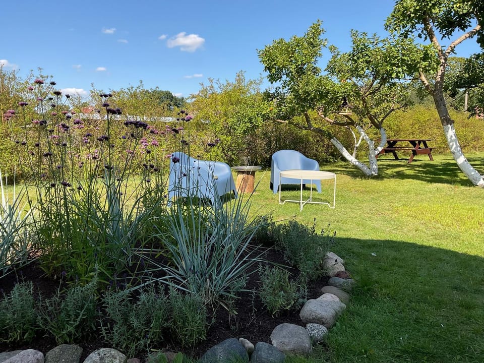 Day, Natural landscape, Garden, Garden