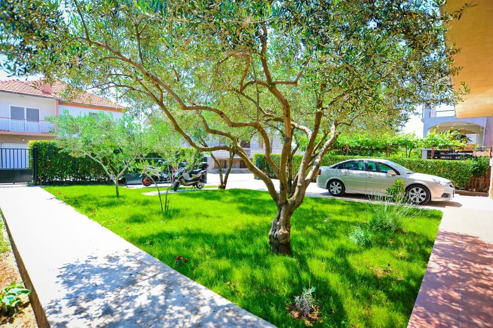 Neighbourhood, Garden