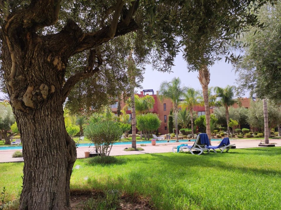 Natural landscape, Garden, Pool view, sunbed
