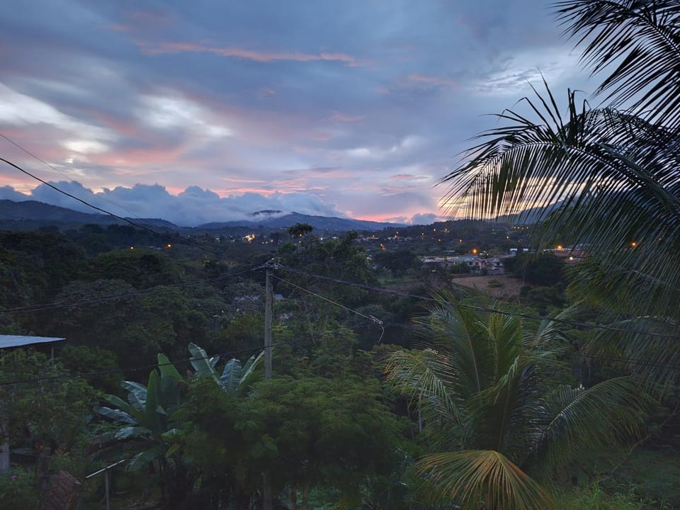 View (from property/room)