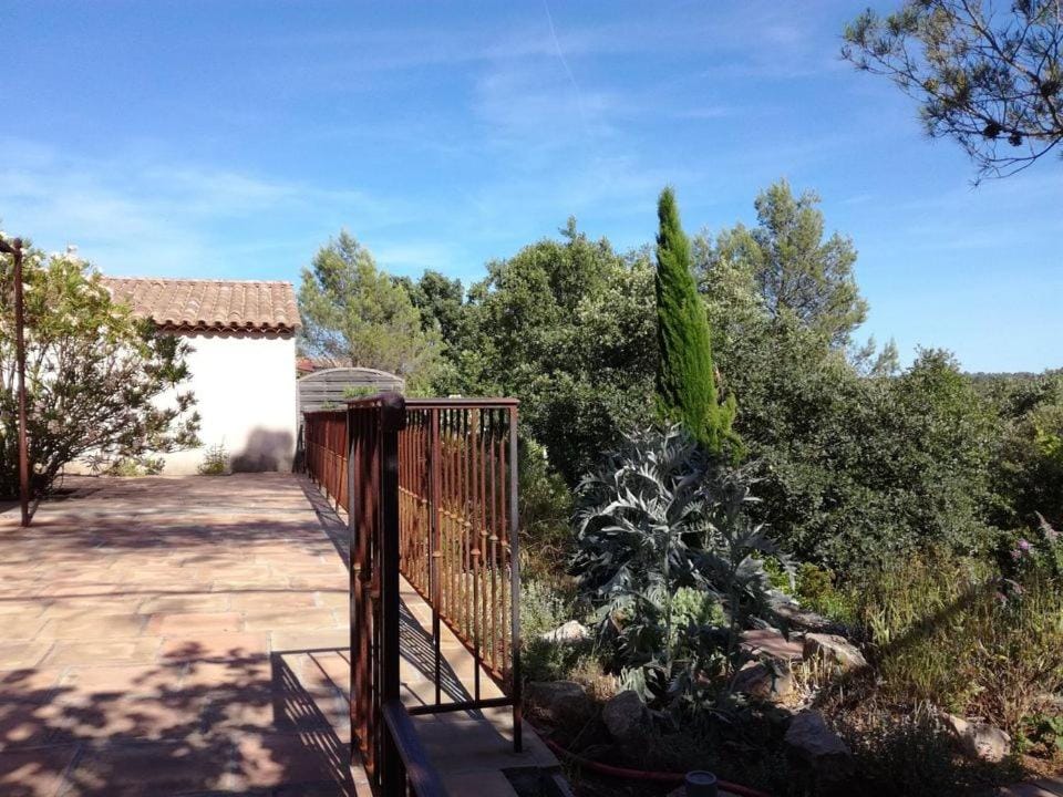 Balcony/Terrace, Garden view