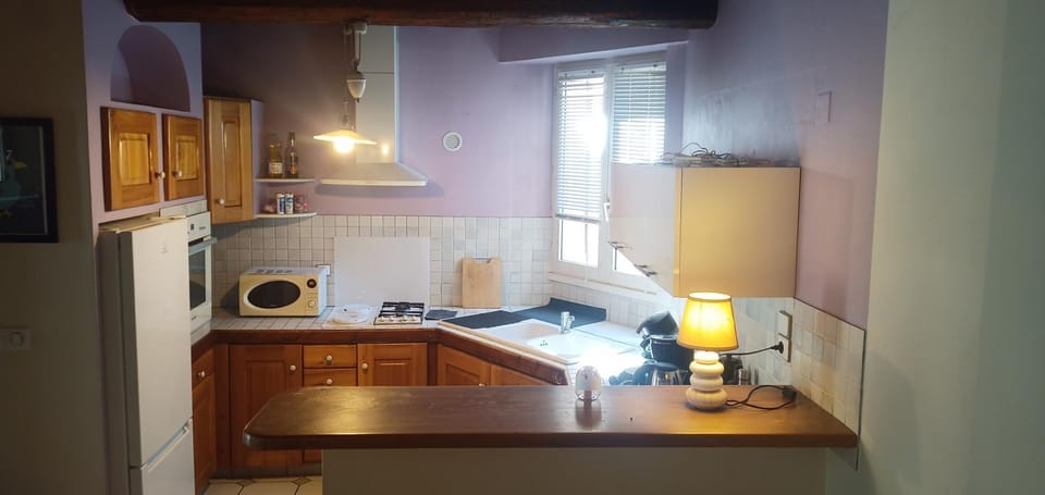 Kitchen or kitchenette, dishwasher, minibar, pet friendly, stove, toaster, kitchen