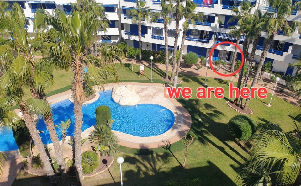 Property building, Garden, Pool view