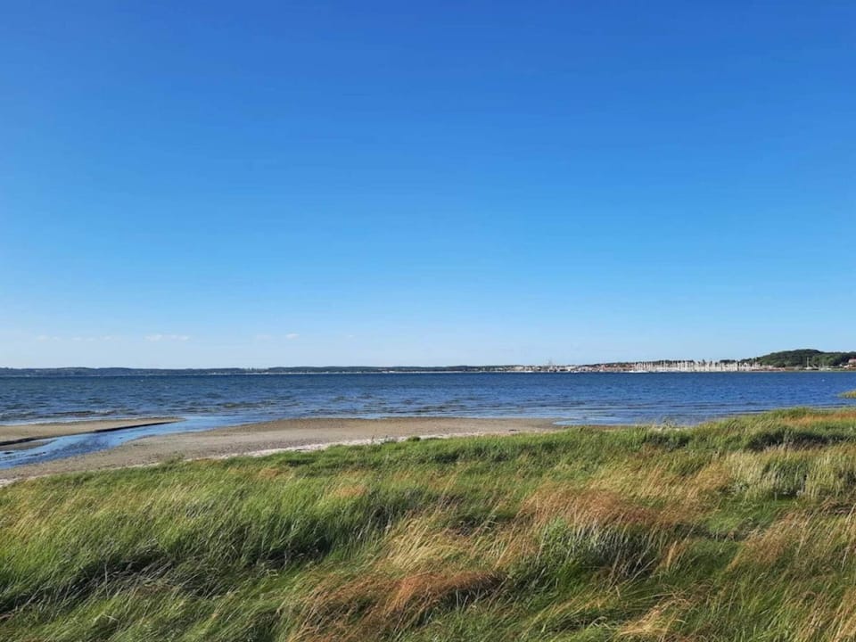 Lake view