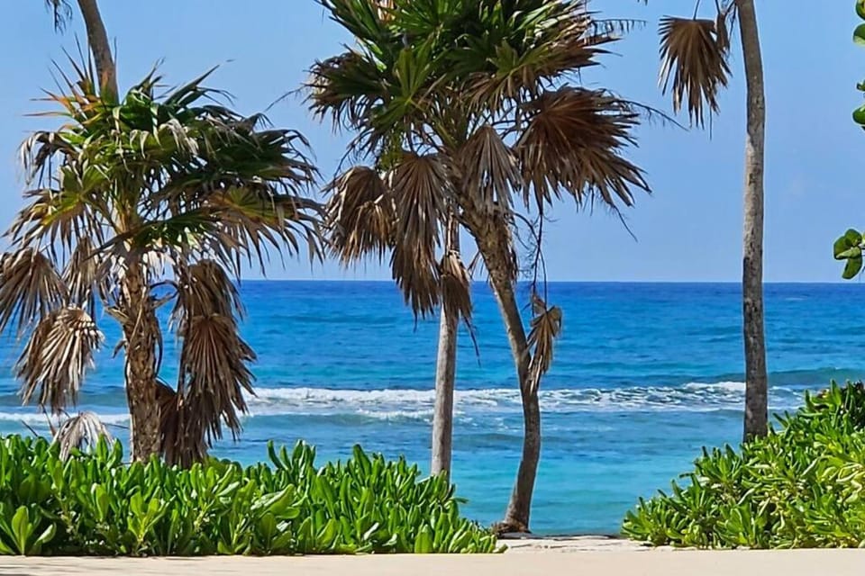 Day, Natural landscape, Beach, Sea view