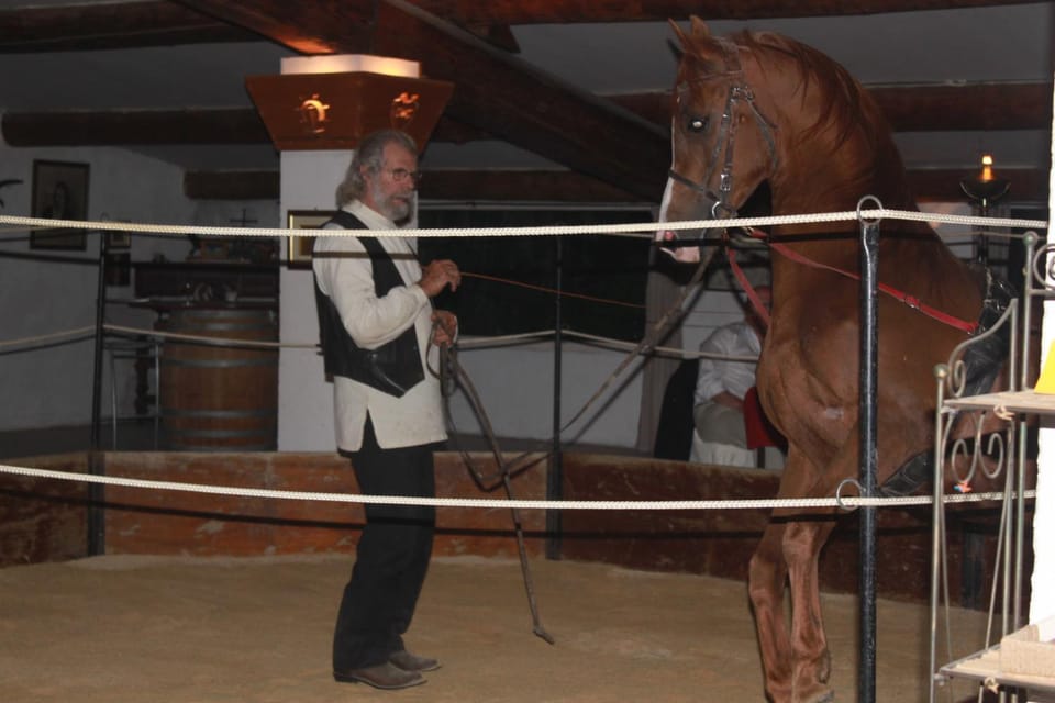 Evening entertainment