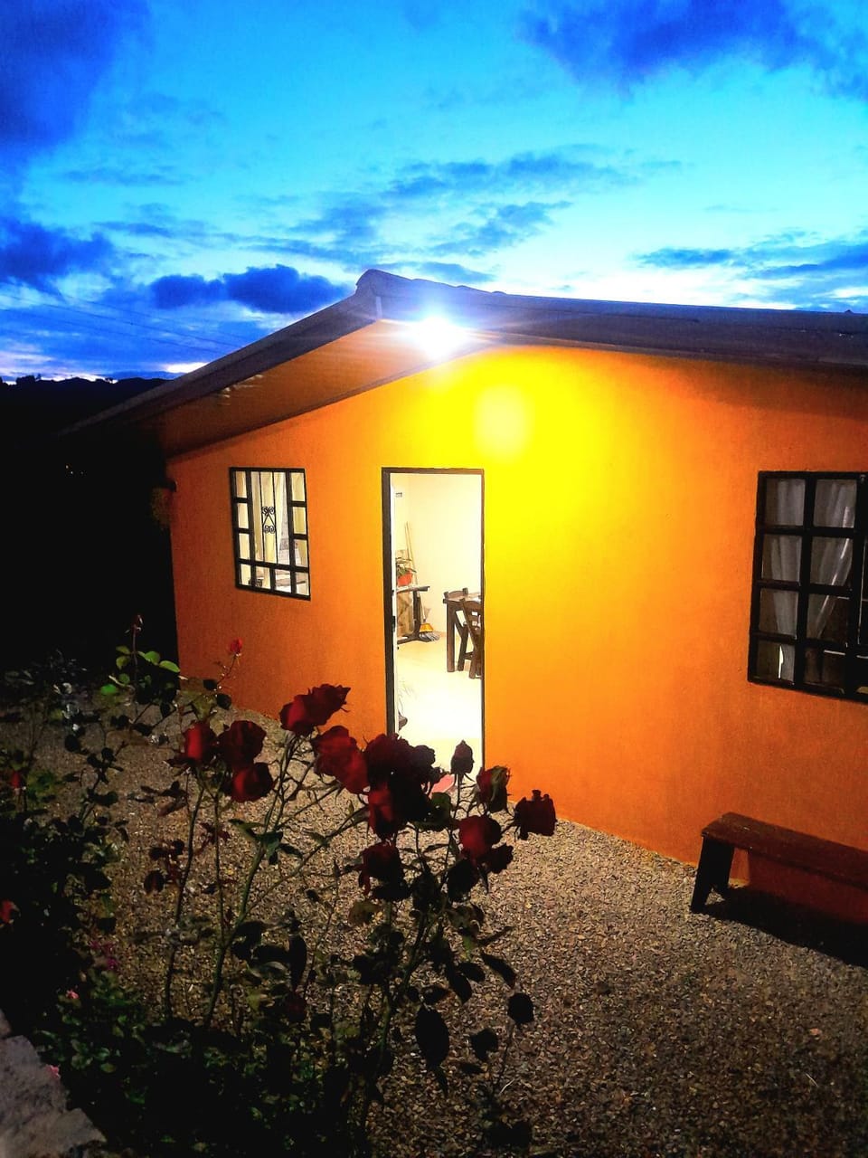 Night, Garden, Garden view