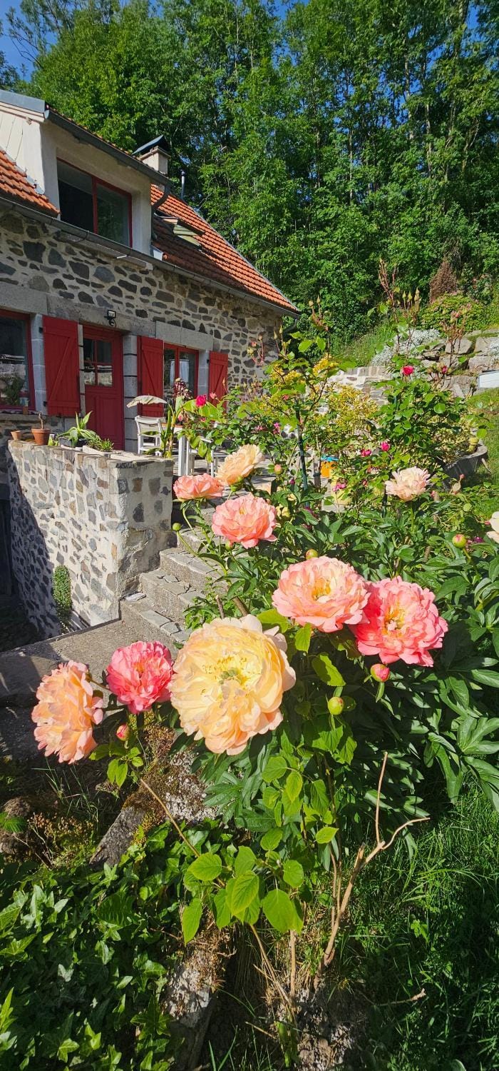 un petit coin paisible et frais - piscine à 3 mins Bed and Breakfast in Auvergne-Rhône-Alpes