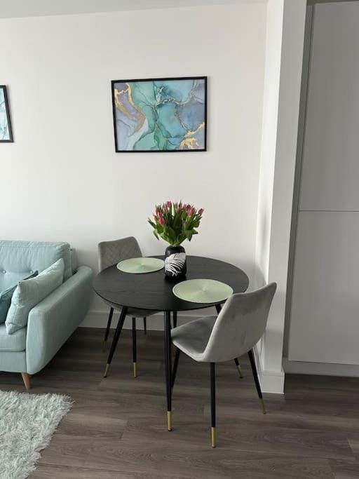 Stunning one-bedroom apartment- Next to tube station- Sleeps 3 Apartment in Southall