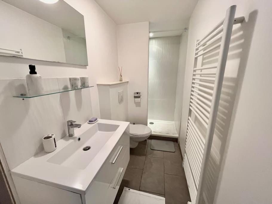 Très bel appartement à 2 pas du Théâtre Sébastopol Apartment in Lille