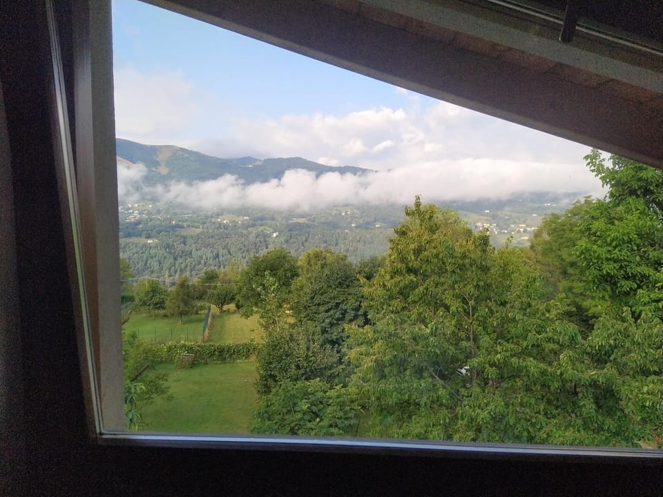 View (from property/room)
