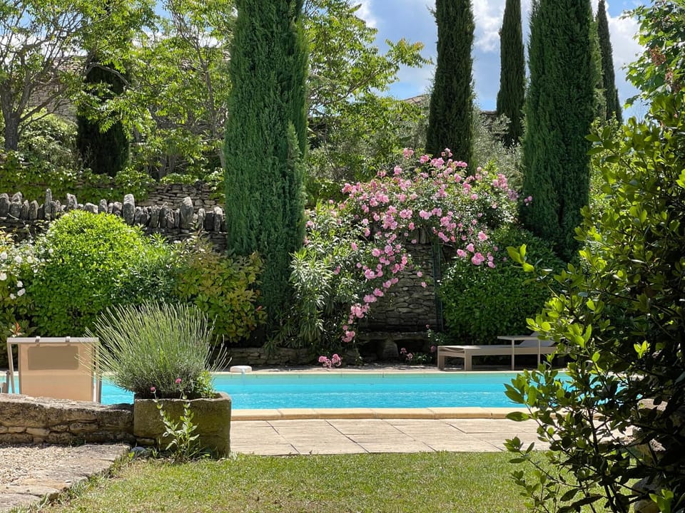 Garden, Garden view, Swimming pool, sunbed