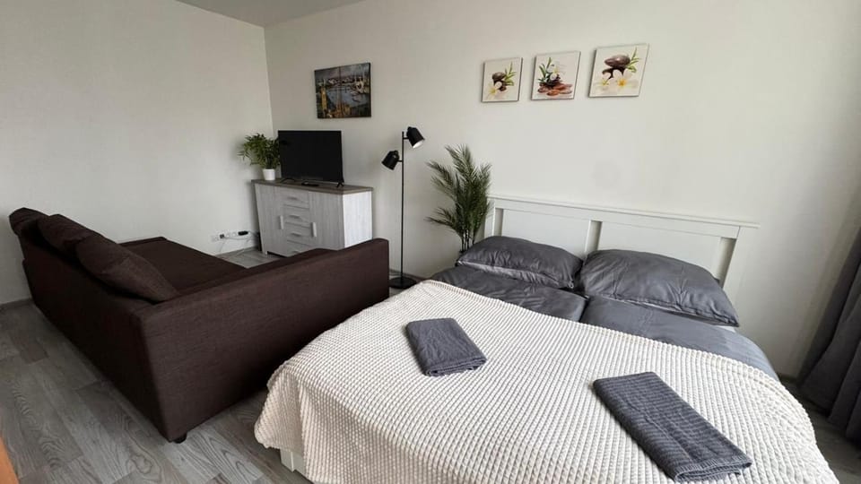THE RIVERSIDE APARTMENT with Balcony Apartment in Prague