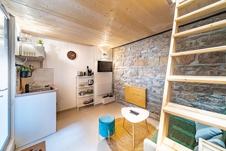 Le petit Victor Hugo - studio Bellecour Apartment in Lyon