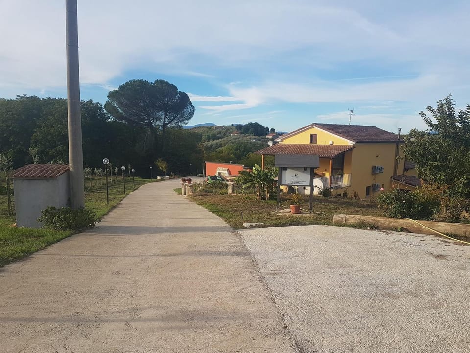 Property building, Day