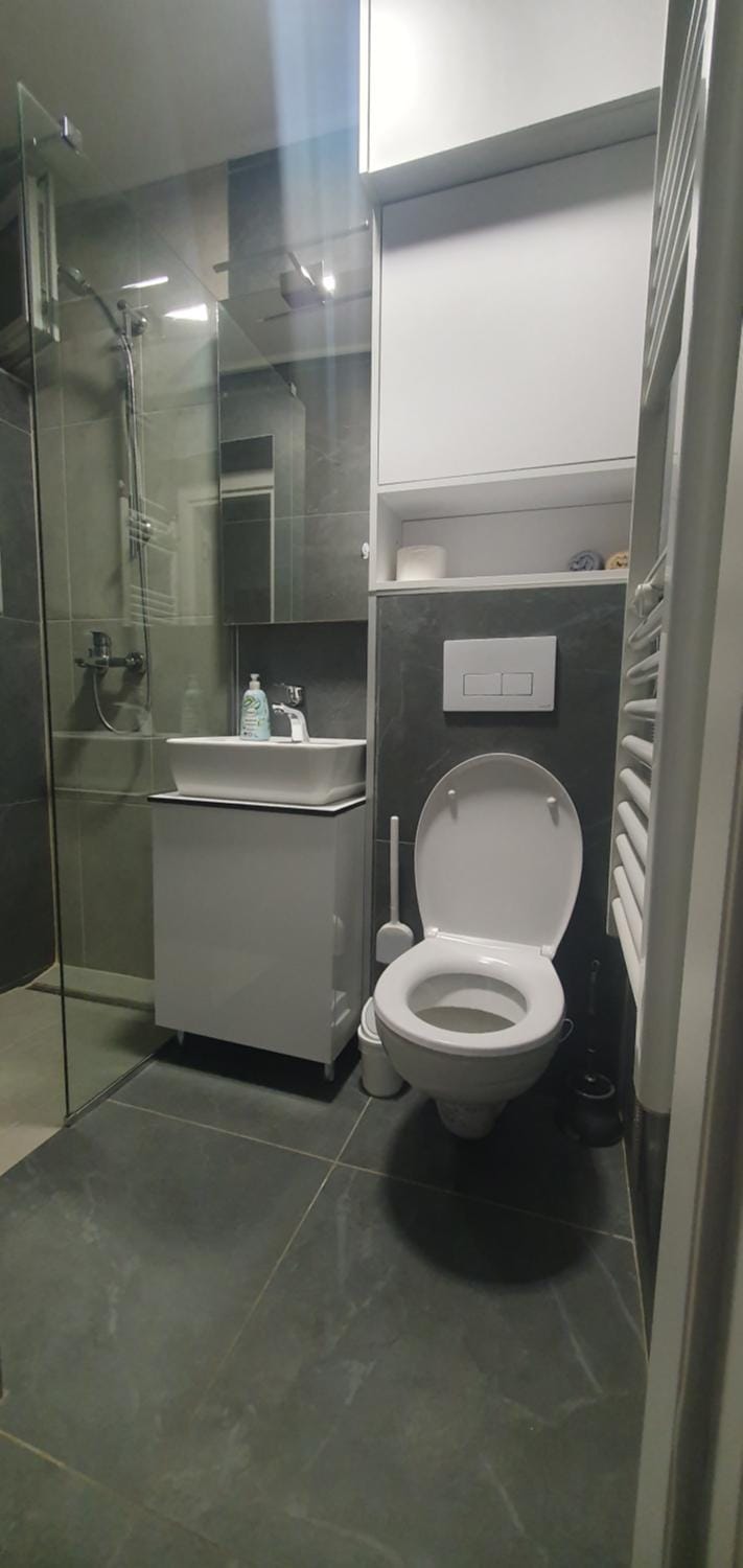 Toilet, Bathroom