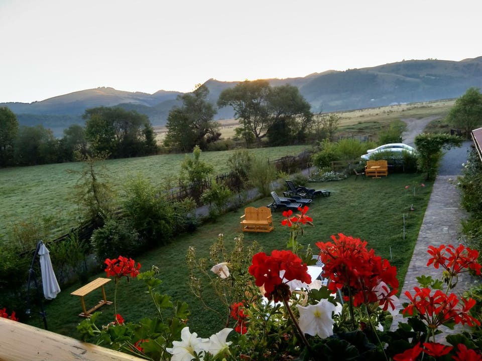 Garden, Garden view, Mountain view