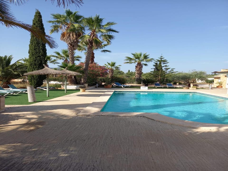 Swimming pool, sunbed
