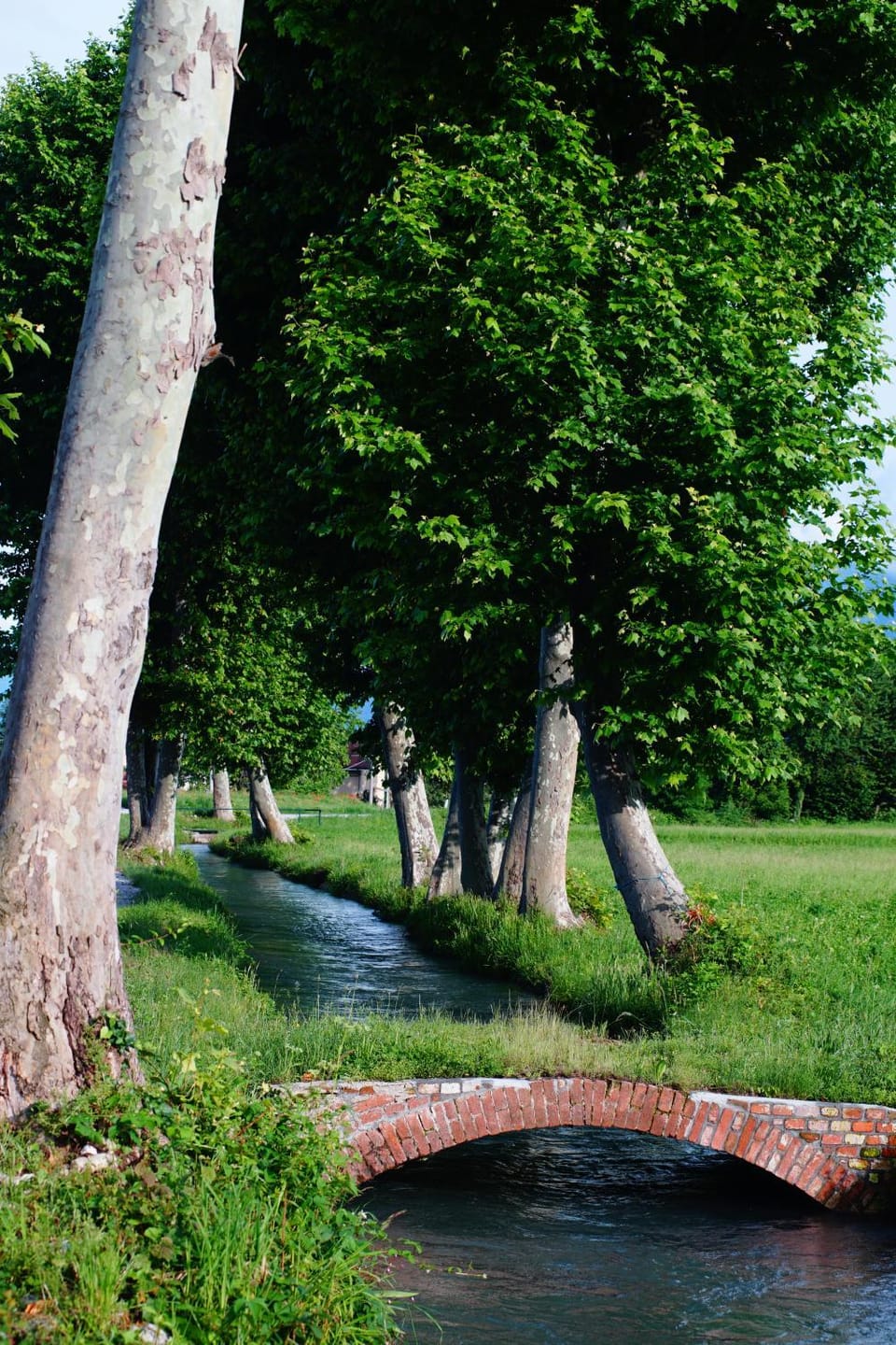 CASA VOLA Bed and Breakfast in Cuneo