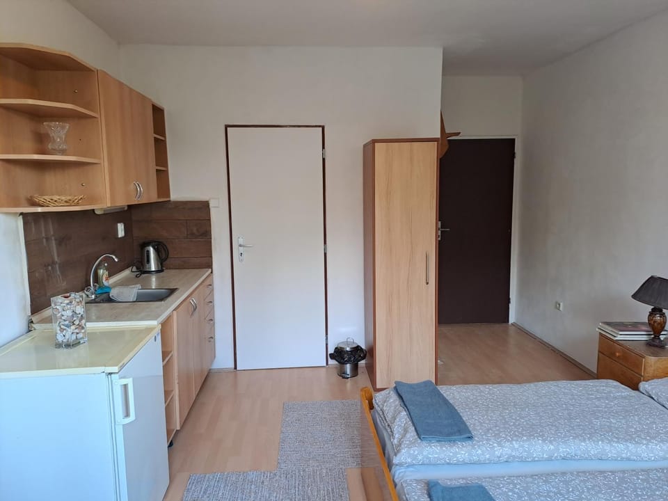 Apartmán s terasou Apartment in South Moravian Region
