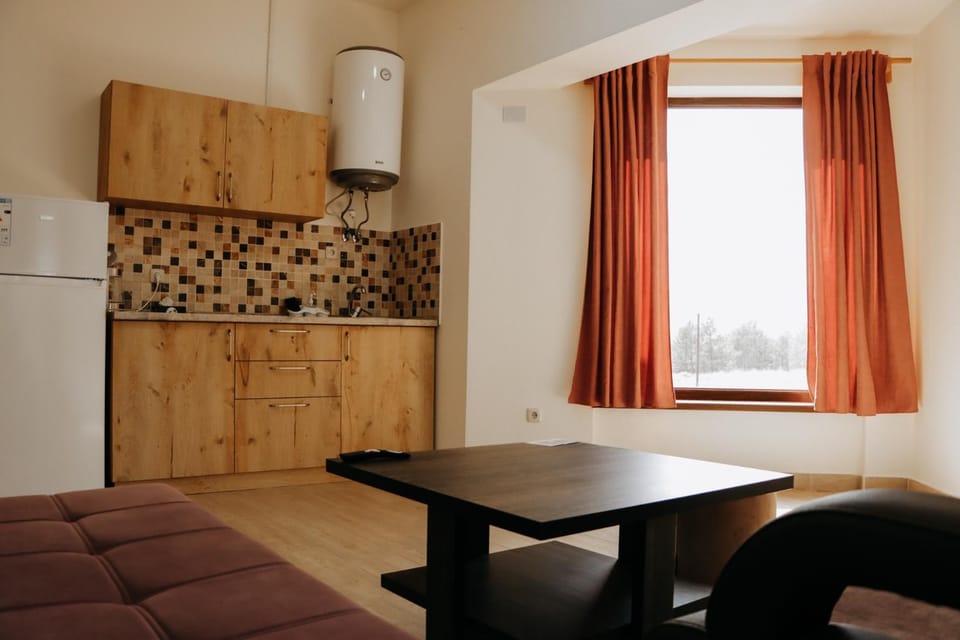 Living room, kitchen