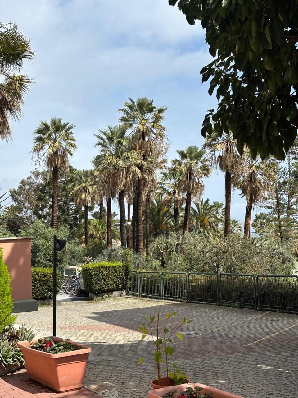 Natural landscape, Garden
