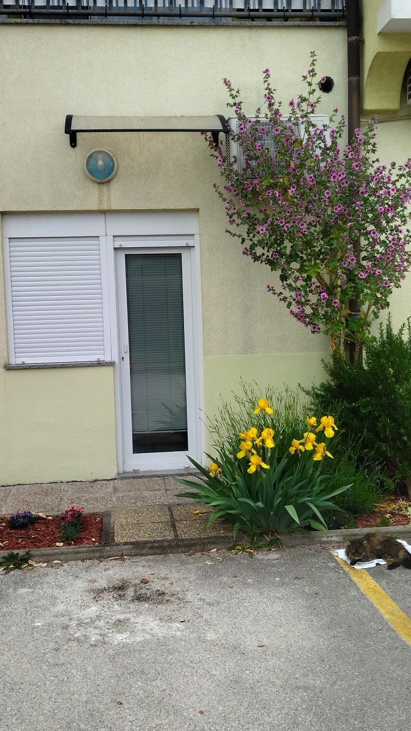 Studio Apartments Grazia Apartment in Istria County