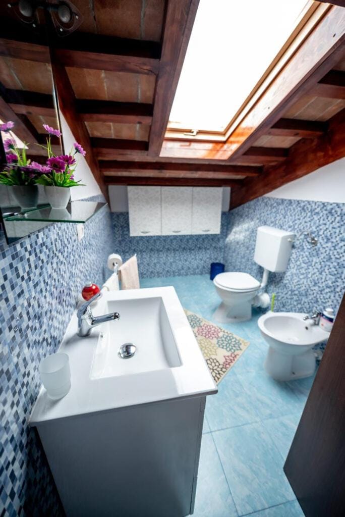 Shower, Toilet, Bathroom, bidet