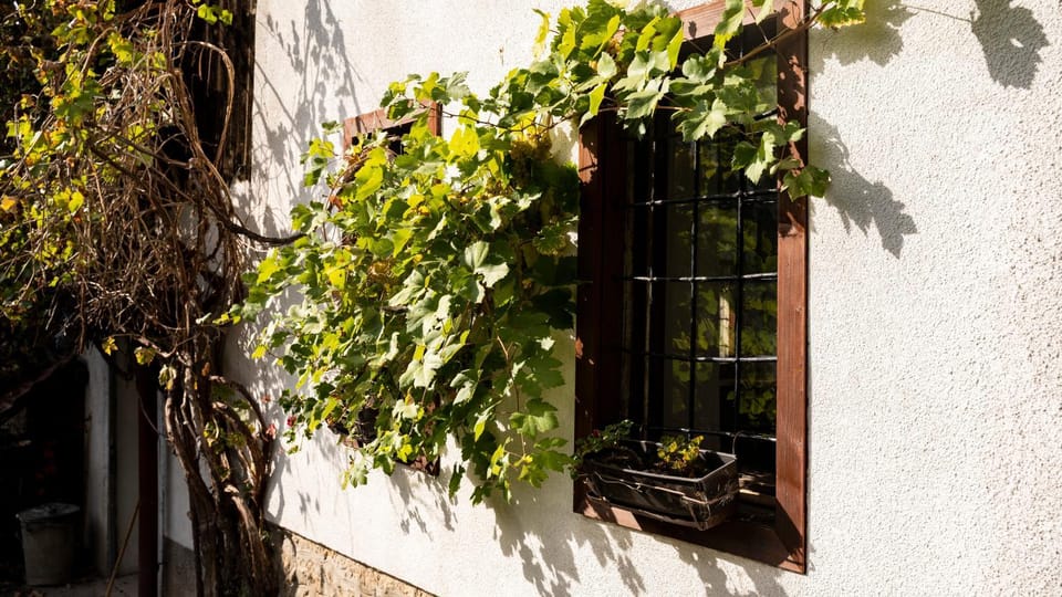 Caravansaray (old house) Apartment in Sarajevo