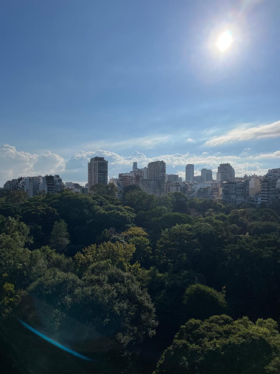 City view