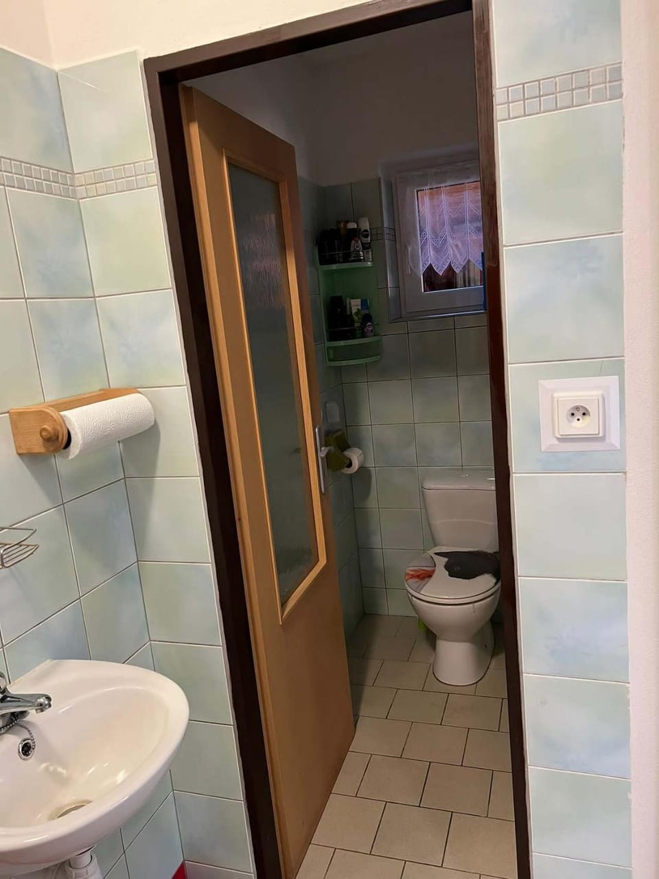 Toilet, Bathroom