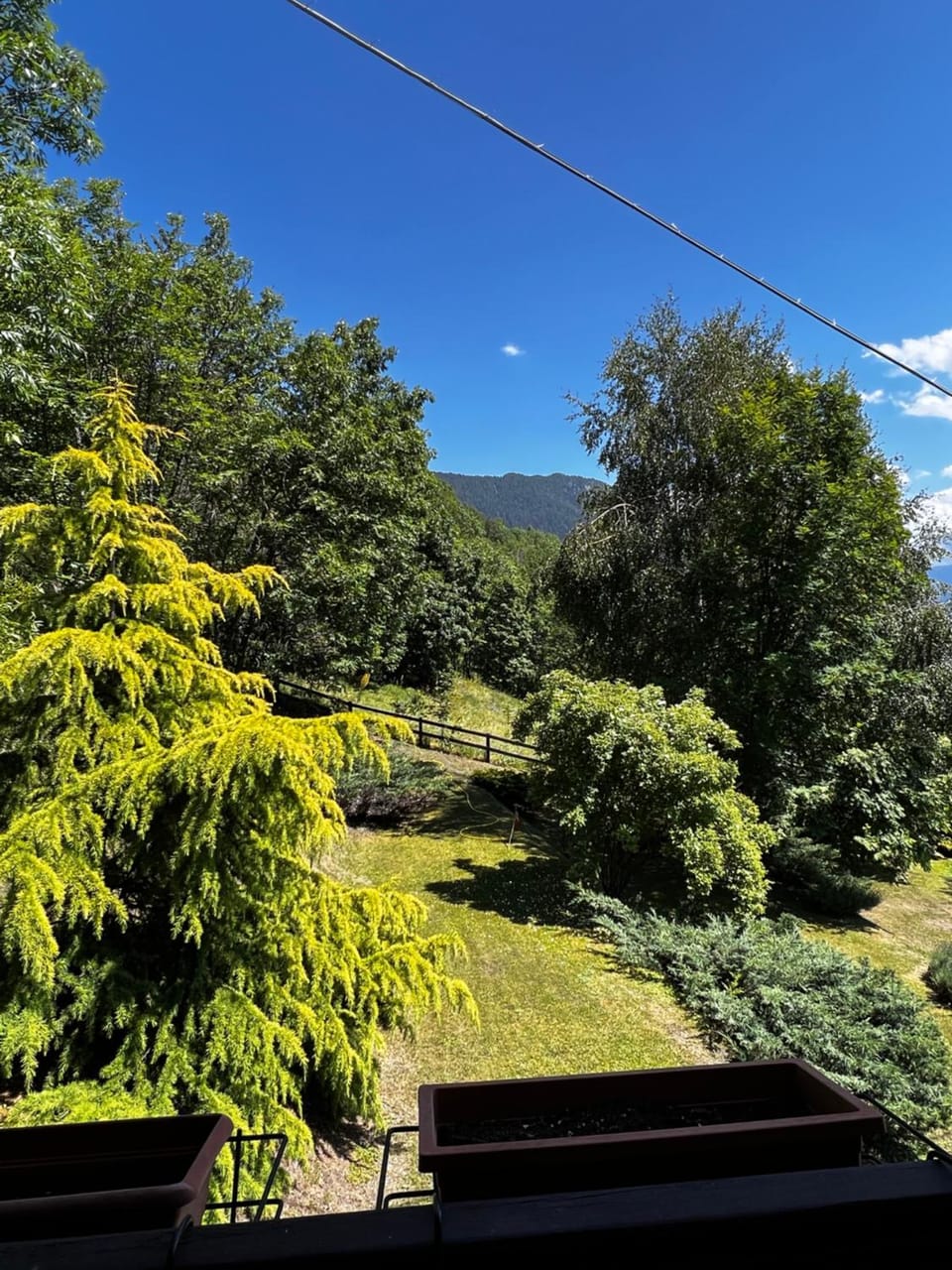 Garden view