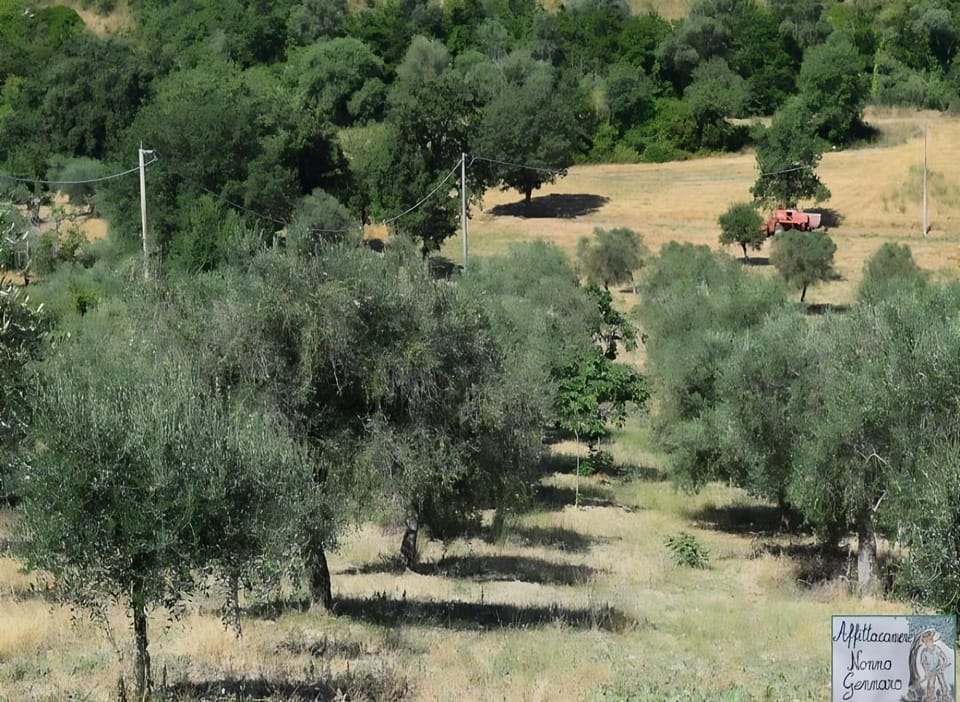 Natural landscape