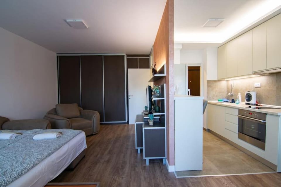Bed, Kitchen or kitchenette, Living room, Photo of the whole room, Seating area, Bedroom, minibar, oven, pet friendly, stove