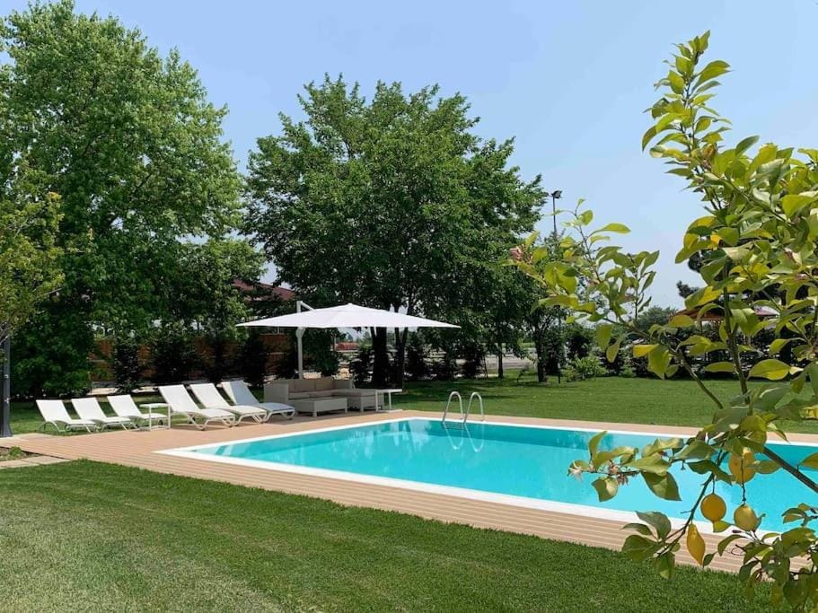 Garden, Pool view, Swimming pool, sunbed