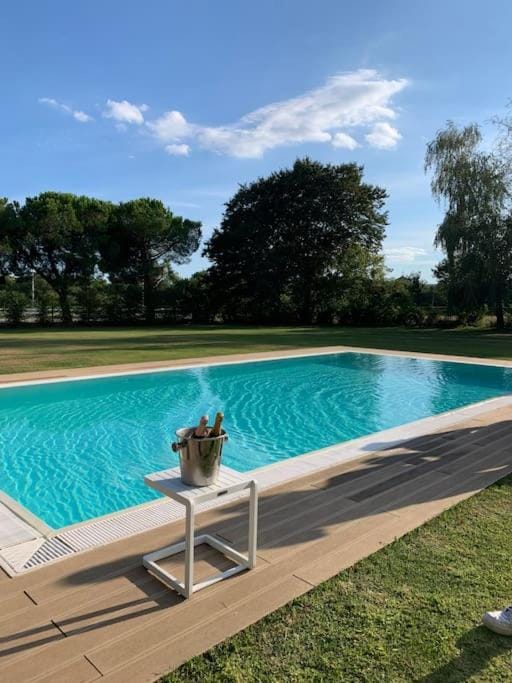 Garden, Swimming pool, sunbed