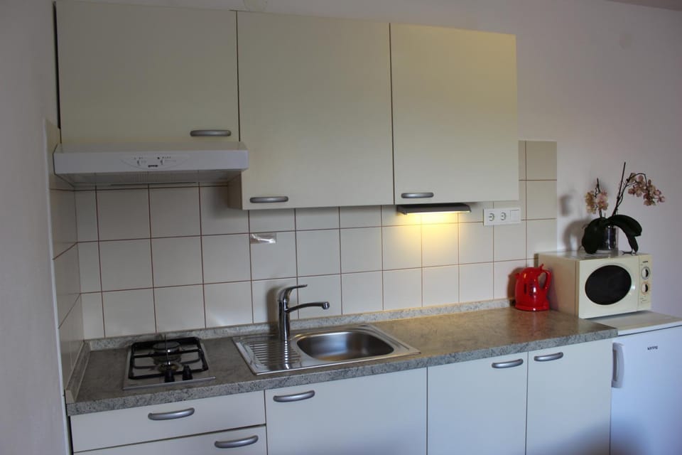 Kitchen or kitchenette, minibar, stove