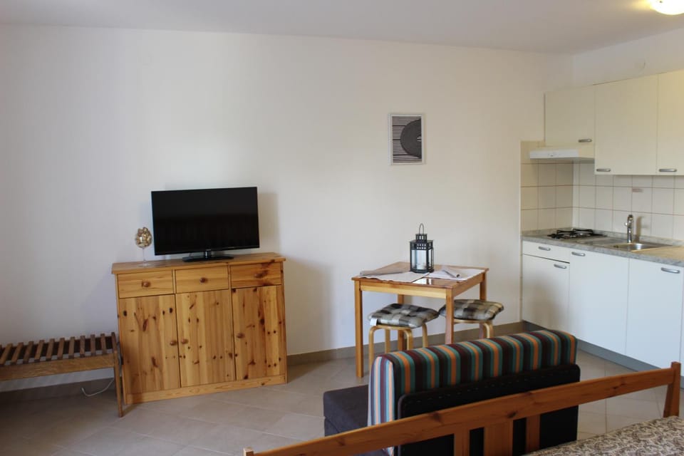 TV and multimedia, Kitchen or kitchenette, Living room, Seating area, Dining area, minibar, stove