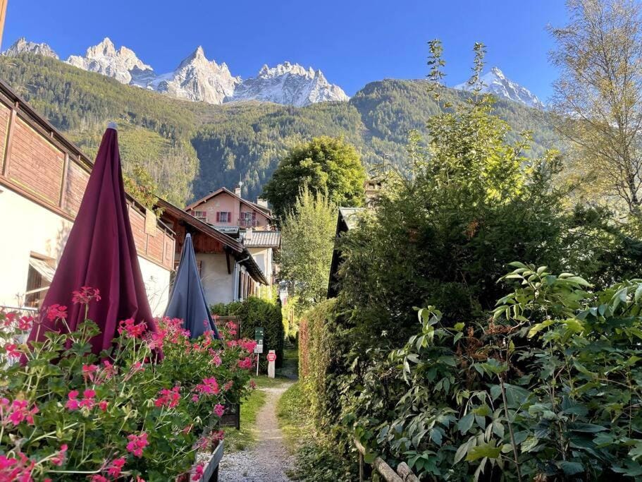 Cosy appartement centre chamonix Apartment in Chamonix
