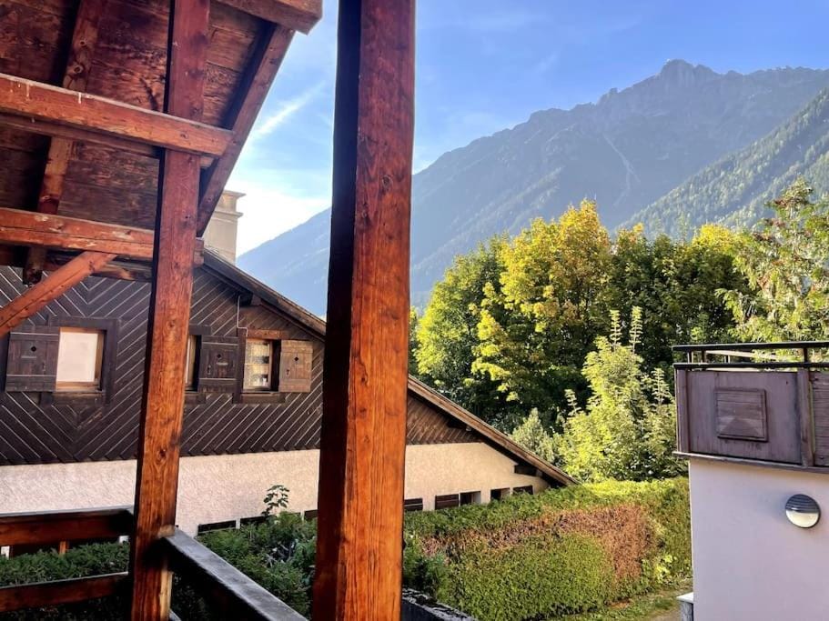 Cosy appartement centre chamonix Apartment in Chamonix