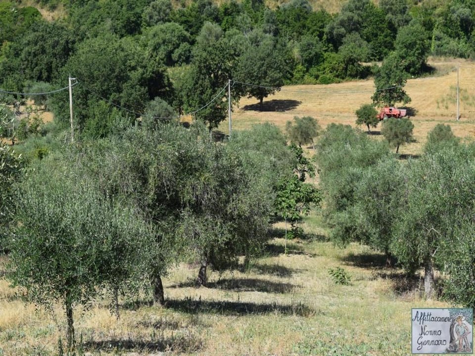 casa vacanze nonnogennaro Apartment in Campania