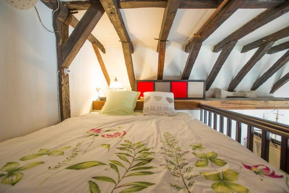 Appartement de caractère au cœur du vieux Tours Apartment in Tours