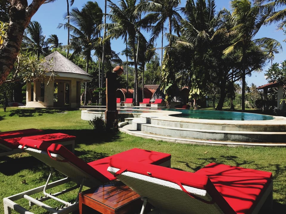 Day, Garden, Swimming pool