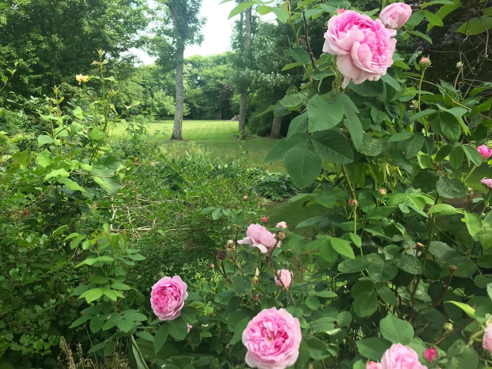 Thyholm B&B Bed and Breakfast in Central Denmark Region