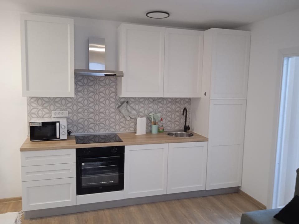 Kitchen or kitchenette, dishwasher, minibar, pet friendly, stove