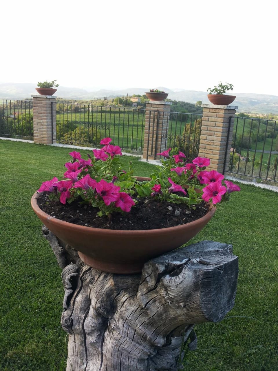 Garden view