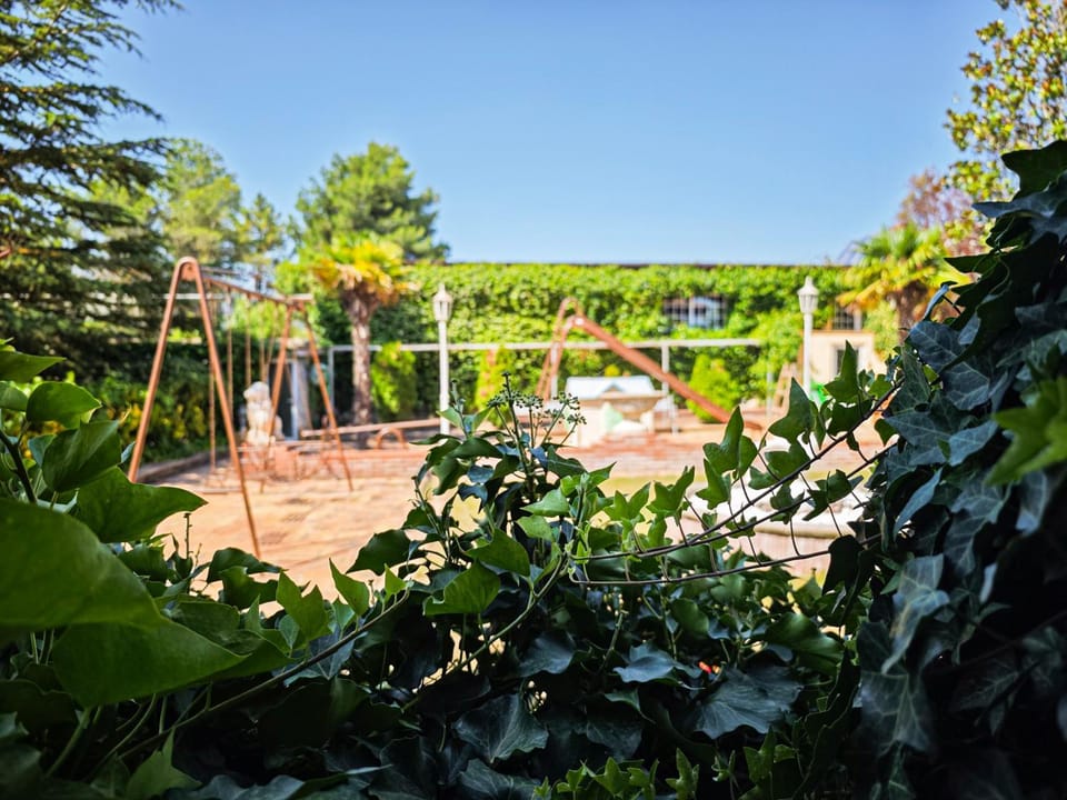 Natural landscape, Garden, Garden view