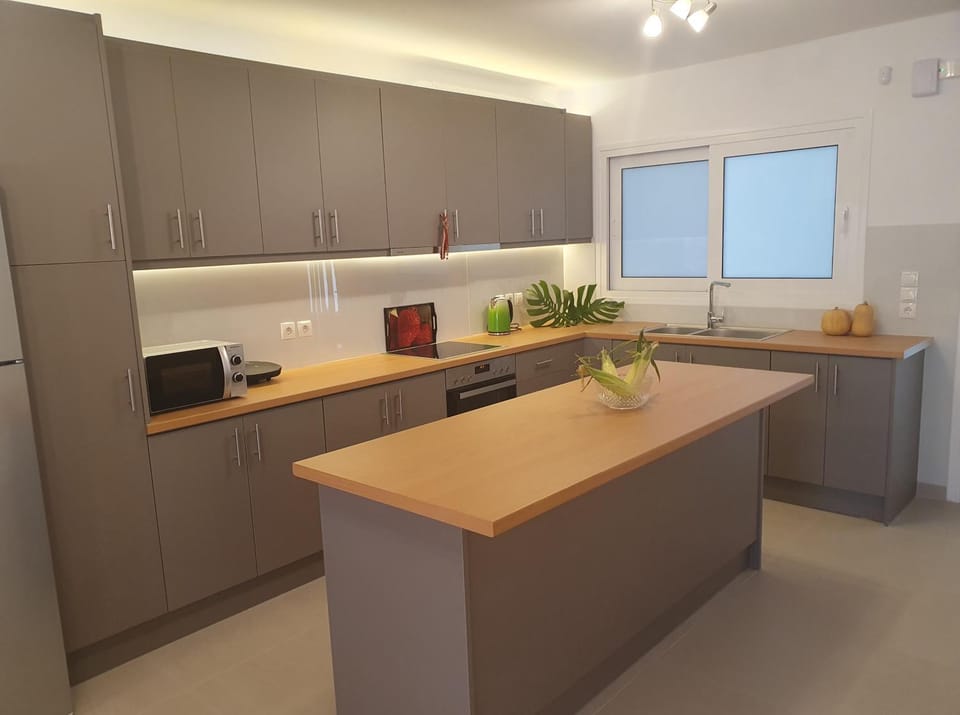 Kitchen or kitchenette, minibar, pet friendly, stove