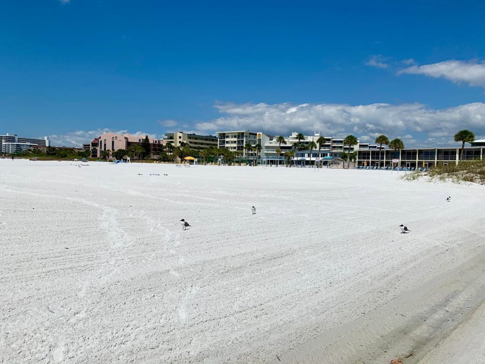 Natural landscape, Beach, Sea view
