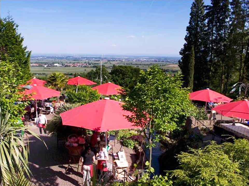 Restaurant/places to eat, Summer, Garden, Balcony/Terrace, Food and drinks, Food and drinks